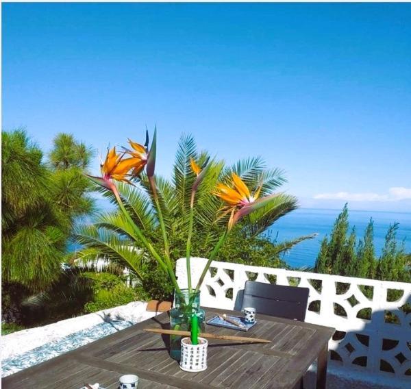 Zenrepublic, Your Private Villa With Outdoor Jacuzzi & Pool With Stunning Ocean Views Puntillo Del Sol Ngoại thất bức ảnh